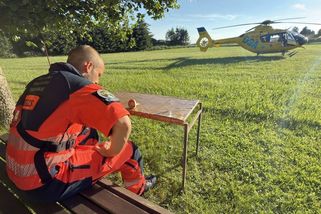 Žena na Jindřichohradecku se otrávila muchomůrkou tygrovanou - Novinky