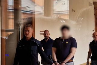 Sedmnáctiletý výrostek v Brně chtěl zapálit synagogu a zabít bezdomovce. Dostal 9 let - Novinky
