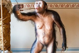 Přílet Lucy patřil k nejostřeji sledovaným transportům v historii, říká ředitel Národního muzea - Novinky
