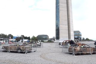 V Praze jsou k vidění vraky ukrajinských civilních aut zničených ruskou palbou - Novinky
