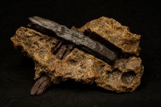 Kladívko z éry dinosaurů: Komu patřil 140 milionů let starý nástroj?