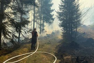 ON-LINE: České Švýcarsko se potýká s masivním požárem - Novinky