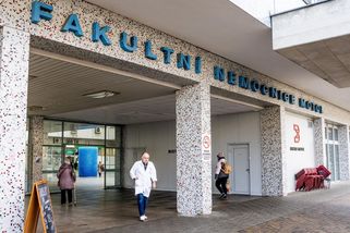 Rodiče žalovali nemocnici, která nedala umírající dceru na ARO. Jen by jí to prodloužilo bolest, řekl ÚS - Novinky