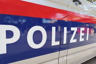 Nákladní auto v Rakousku prorazilo zeď a vjelo do kadeřnictví, kde zabilo majitelku - Novinky