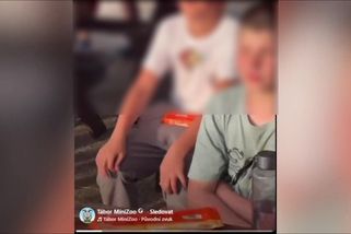 „Sundej si čepici, ať ti vidím do očí.“ Strážnice obhajuje kontroverzní video | Domácí
