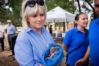 FOTO: Cesta prezidenta Pavla s manželkou po Austrálii: Koala a mláďata vombatů - Novinky