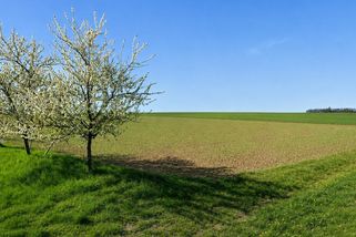 Koupili 800 m2 stavební pozemek za 4 000 000. Pak zjistili, že na něm nesmí stavět