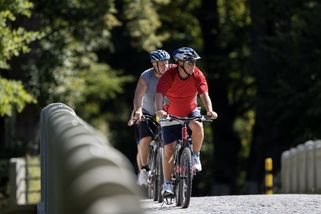 Přelomový rozsudek: Cyklista může na silnici, i když vedle vede cyklostezka - Seznam Zprávy
