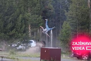 Dědeček chránil svého vnuka před bizonem, ten ho vyhodil 2 a půl metru do výšky | Zajímavá videa