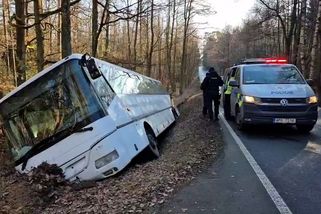 Opilý a zdrogovaný muž ukradl autobus, za Plzní s ním havaroval - Novinky