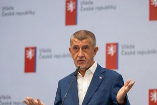 Už nikdy nebudu v delegaci s prezidentem, řekl Babiš. Letošní summit NATO považuje za poučení