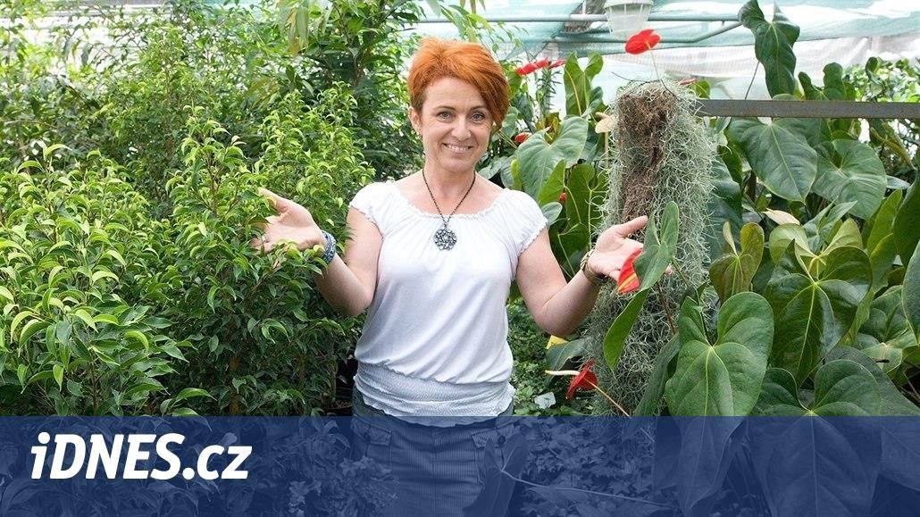 Místo hory papírů má učitel ve Finsku svobodu, vzpomíná na pobyt pedagožka