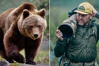 Obří medvědice se přiblížila k fotografovi na pár...