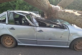 Na auto na Olomoucku spadl mohutný strom. Řidič měl neuvěřitelné štěstí - Novinky