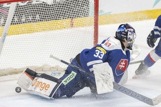 Slovenský reprezentační brankář Škorvánek bude chytat v Hradci Králové - Sport.cz