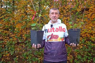 Babišova obsese nutellou nebere konce - Novinky