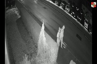 V České Lípě vyhořel autosalon. Policisté hledají dvojici, která byla poblíž - Novinky