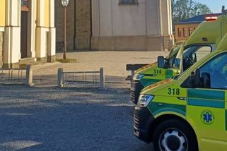 Mladíci na Kroměřížsku skončili v nemocnici po otravě rulíkem zlomocným - Novinky