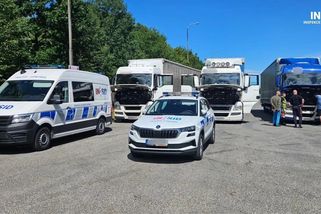 Úspora za AdBlue může být velká, ale je to nelegální. Pokud ji kontroly odhalí, hrozí naopak vysoké pokuty