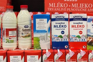 Velké srovnání mléka: Od 8 do 60 Kč za litr. V čem se liší a proč levné překvapilo