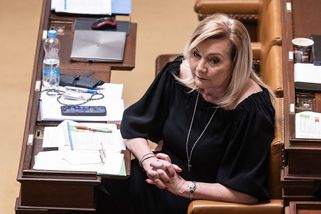 ANO povede na jihu Moravy do voleb Schillerová, dvojkou by měl být Trojan - Seznam Zprávy