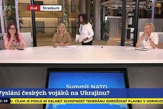 „Vy mě nebudete urážet do zvířat.“ Naštvaná Jermanová opustila televizní debatu - Novinky