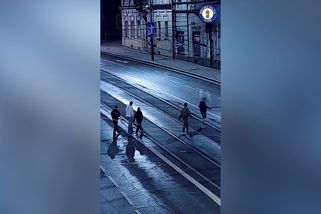 Mladík v Plzni vzal nemohoucímu muži francouzskou hůl a hodil ji do křoví. Natáčely ho kamery - Novinky