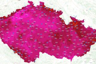 V Česku naměřili 40 stupňů - Novinky