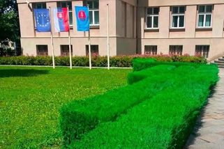 Vyschlé křoví nastříkali na Slovensku zelenou barvou - Novinky