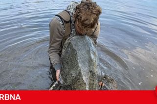 Kritika místo obdivu. Obří sumec rozpoutal debatu o chování rybářů