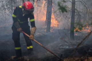 Ve Francii řádí ohnivá bouře, živí sama sebe a vytváří blesky. Uhasit nejde - Seznam Zprávy