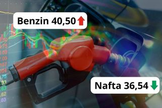 Velké zlevňování končí! Cena benzinu jde nahoru, naftu to brzy taky čeká - Garáž.cz
