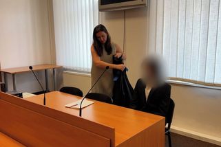 Student z Plzeňska zasvěcoval do sexu nezletilé školačky. Za pohlavní zneužití dostal podmínku - Novinky