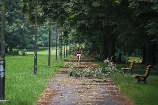 Mají padnout stovky stromů. Ostrava se pře o osud parku - Seznam Zprávy