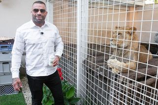 Vémola zuří po zabavení lvice: Úřady ho prý šikanují! Takhle probíhalo srdcervoucí loučení se šelmou po šesti letech - Super.cz