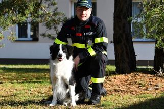 Šestiletá Susi z útulku se stala špičkovou psí záchranářkou - Novinky