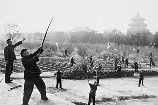 stoplusjednicka.cz/zajimavosti/kdyz-se-vrabci-stali-neprateli-lidu-experiment-mao-ce-tunga-prispel-k-jedne-z
