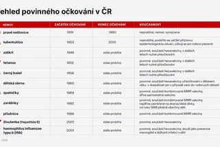 PŘEHLEDNĚ: Jak je to s očkováním v Česku - Novinky