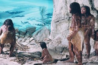 Neandertálci si vrtali bolavé zuby a milovali naše ženy. Ale v životě prohráli