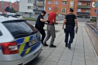 V ostravském parku se muž pokusil v poledne znásilnit dívku. V minulosti už pobodal desetiletou - Novinky