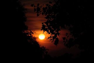 FOTO: Tropická noc v Praze - Novinky