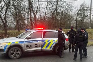 Žena v Domažlicích chrstla na kočárek s miminkem žíravinu - Novinky