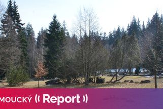 Ztratili jsme důvěru. Na Domu přírody Karlova studánka spolupracovat nebude