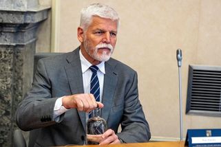 Pavel povede delegaci na OSN, rozhodla vláda - Novinky