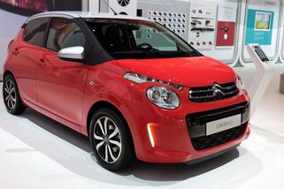 Cestující na italském trajektu nacpal poníka do malého citroënu - Novinky