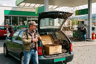 Řidič přijel na benzínku, vypustil roj včel a zase odjel