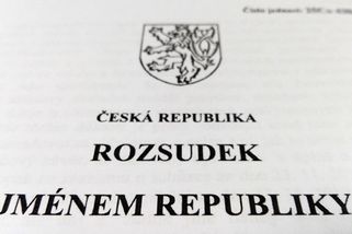 Křivě obvinila expartnera ze sexuálního násilí na dcerce, dostala podmínku - Novinky