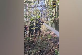 Hasiči na Tišnovsku bojovali s požárem i vedrem, zveřejnili video - Novinky