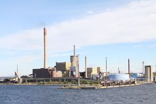 Finsko se zbavilo elektřiny z Ruska i uhlí a začalo pálit staleté lesy - Médium.cz