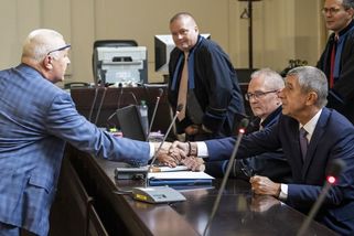 Projekt Čapího hnízda byl pod rozlišovacími schopnostmi Babiše, vypověděl u soudu Faltýnek - Novinky